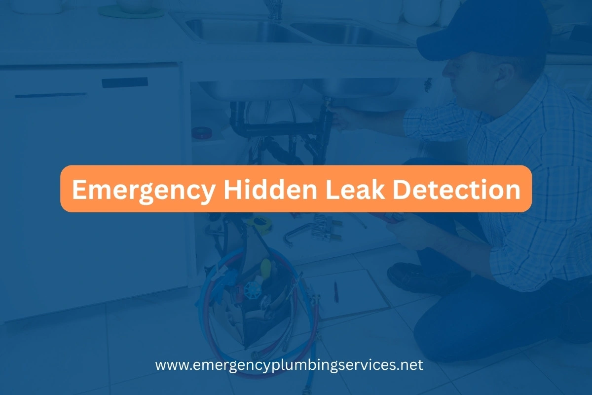 Emergency Hidden Leak Detection Near Me – Across USA