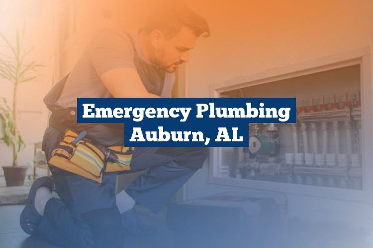 Best Gutter Cleaning Services Near Me USA