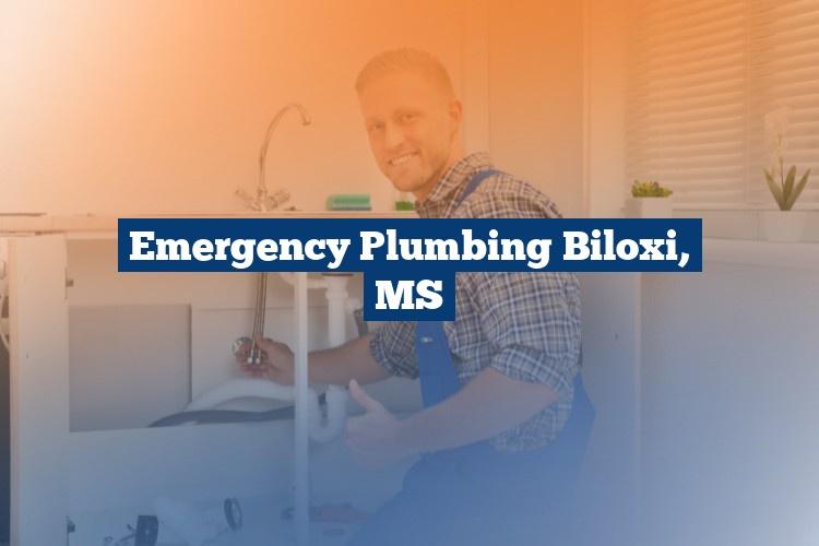 Best Gutter Cleaning Services Near Me USA