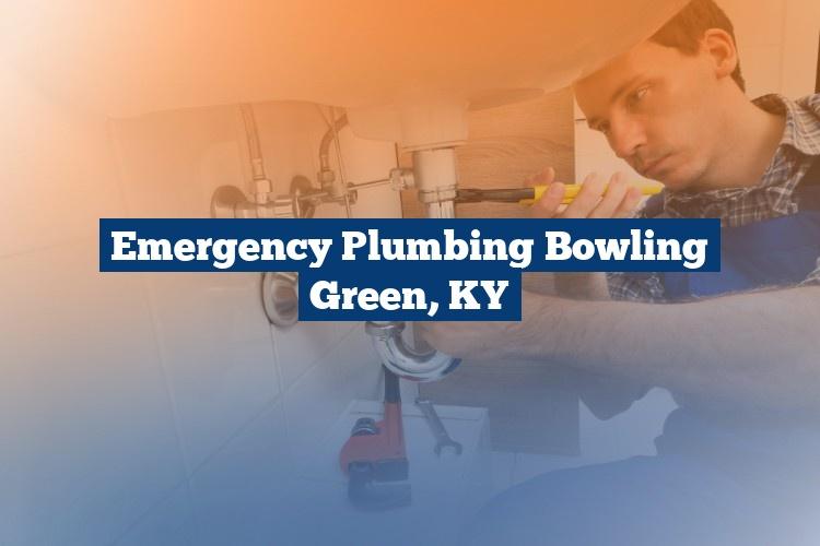 Best Gutter Cleaning Services Near Me USA