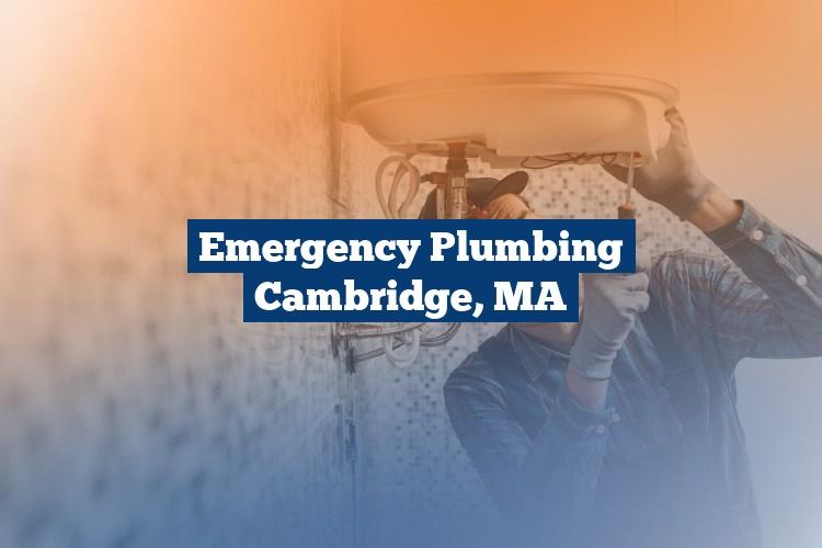Best Gutter Cleaning Services Near Me USA