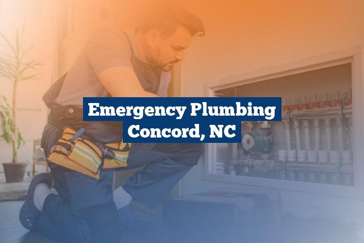 Best Gutter Cleaning Services Near Me USA