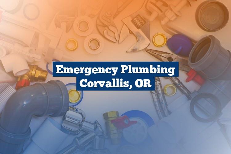 Best Gutter Cleaning Services Near Me USA