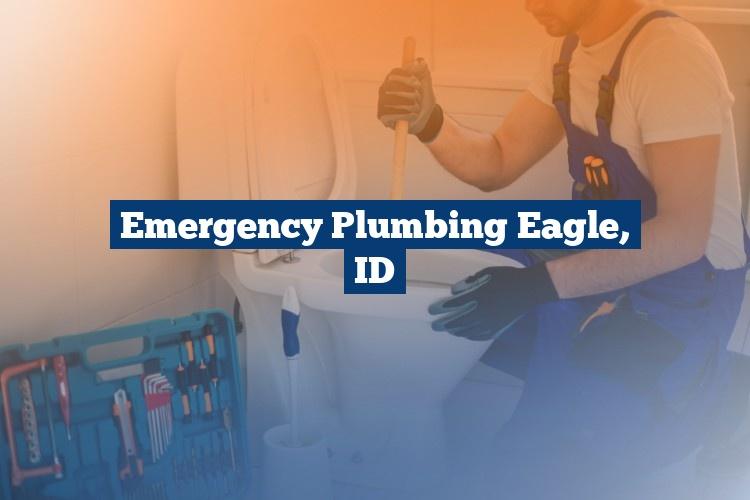 Best Gutter Cleaning Services Near Me USA