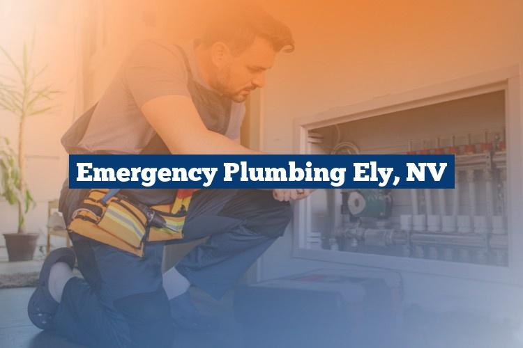 Best Gutter Cleaning Services Near Me USA
