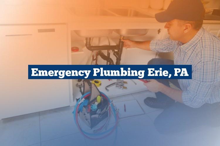 Best Gutter Cleaning Services Near Me USA