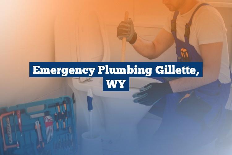Best Gutter Cleaning Services Near Me USA