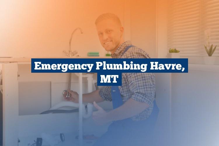 Best Gutter Cleaning Services Near Me USA