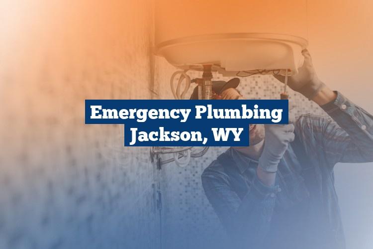 Best Gutter Cleaning Services Near Me USA