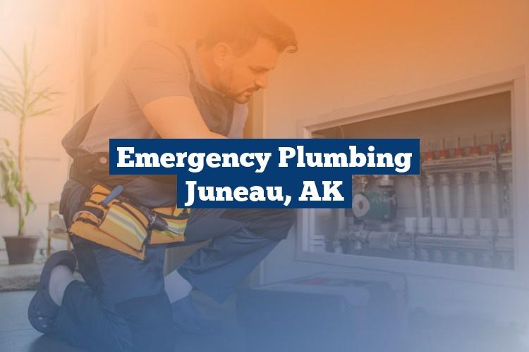 Best Gutter Cleaning Services Near Me USA