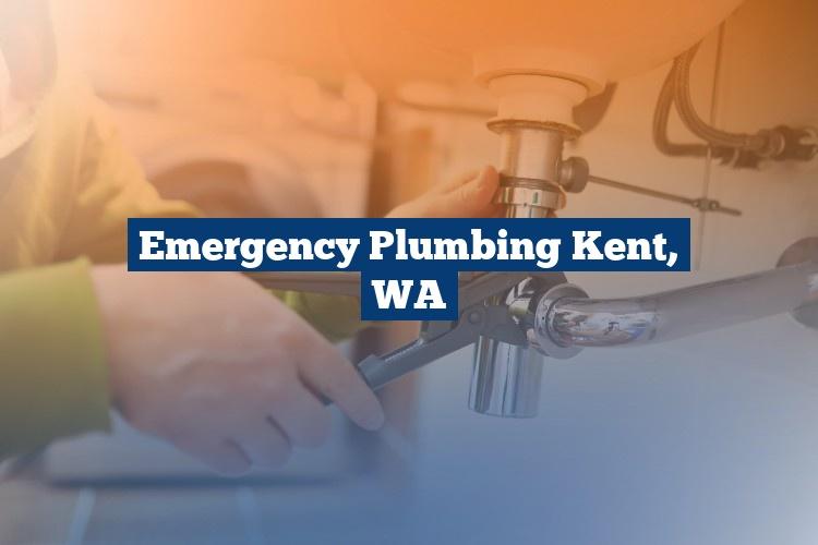 Best Gutter Cleaning Services Near Me USA