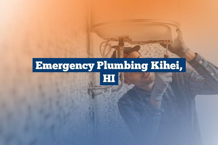 Best Gutter Cleaning Services Near Me USA