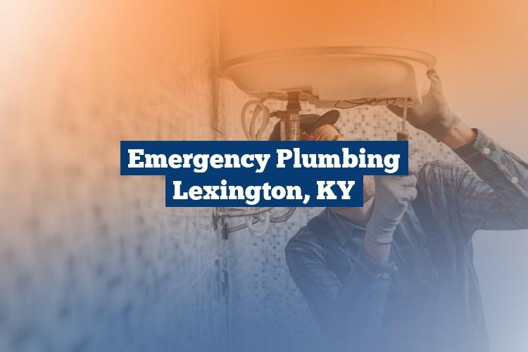 Best Gutter Cleaning Services Near Me USA