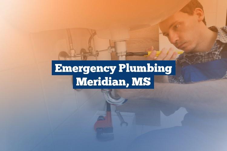 Best Gutter Cleaning Services Near Me USA