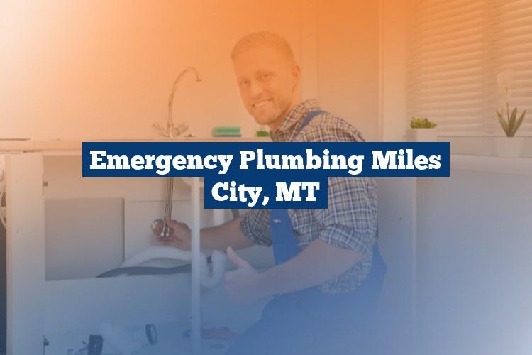 Best Gutter Cleaning Services Near Me USA