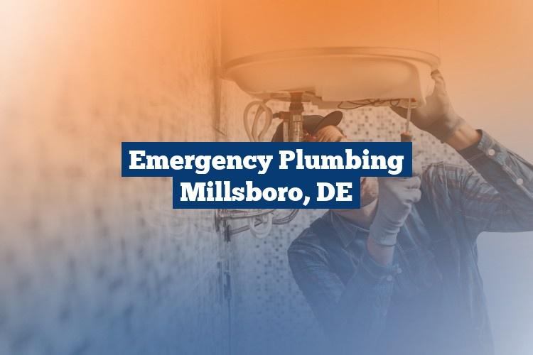 Best Gutter Cleaning Services Near Me USA