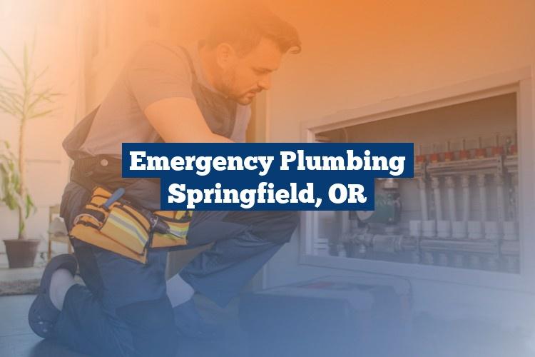 Best Gutter Cleaning Services Near Me USA