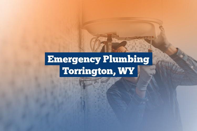 Best Gutter Cleaning Services Near Me USA