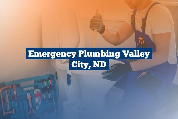 Best Gutter Cleaning Services Near Me USA