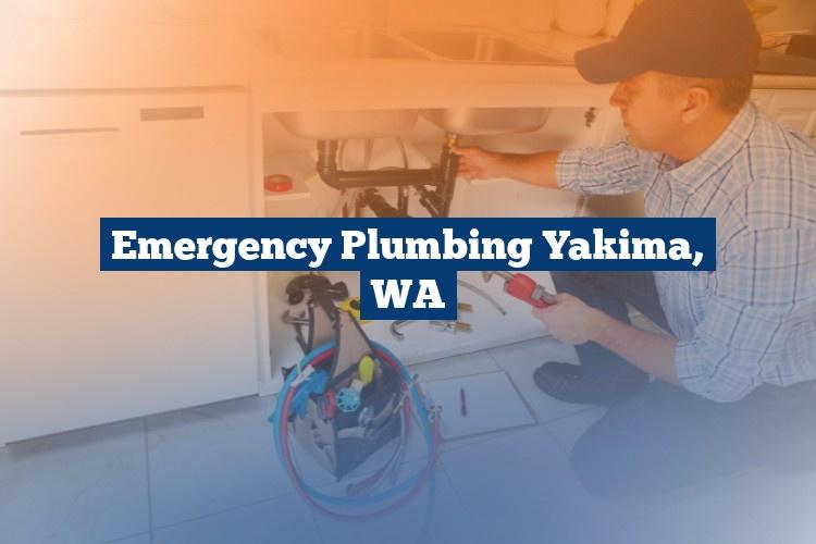 Best Gutter Cleaning Services Near Me USA